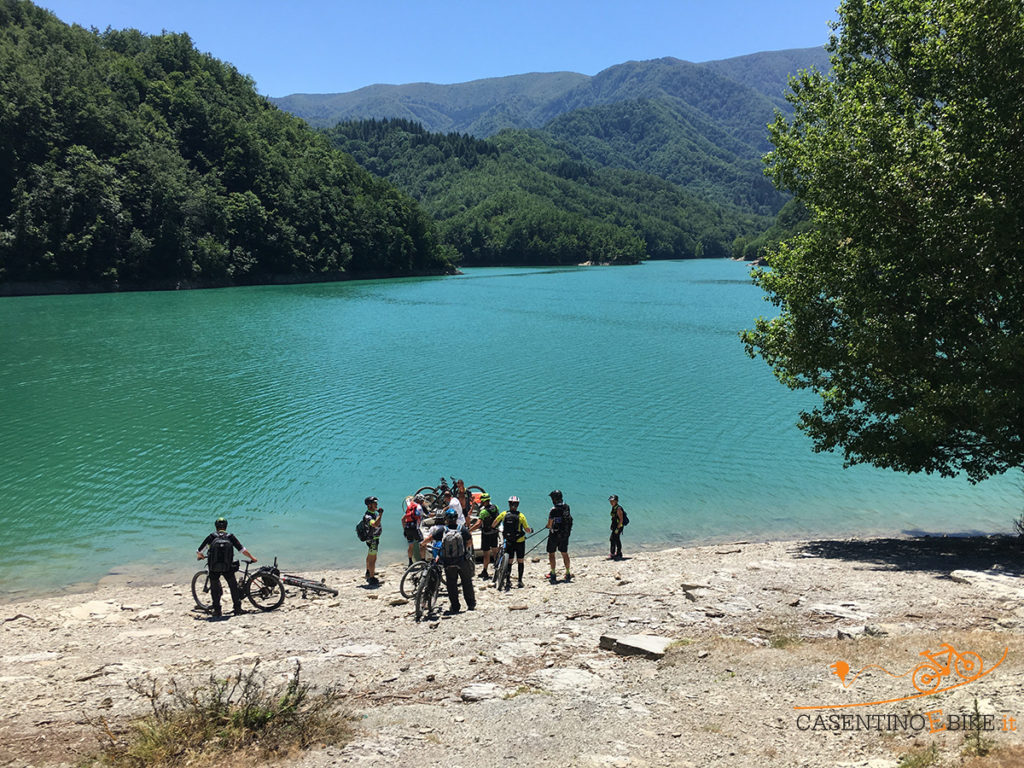 NEL CUORE DEL PARCO: IL LAGO DI RIDRACOLI E LA FORESTA DELLA LAMA