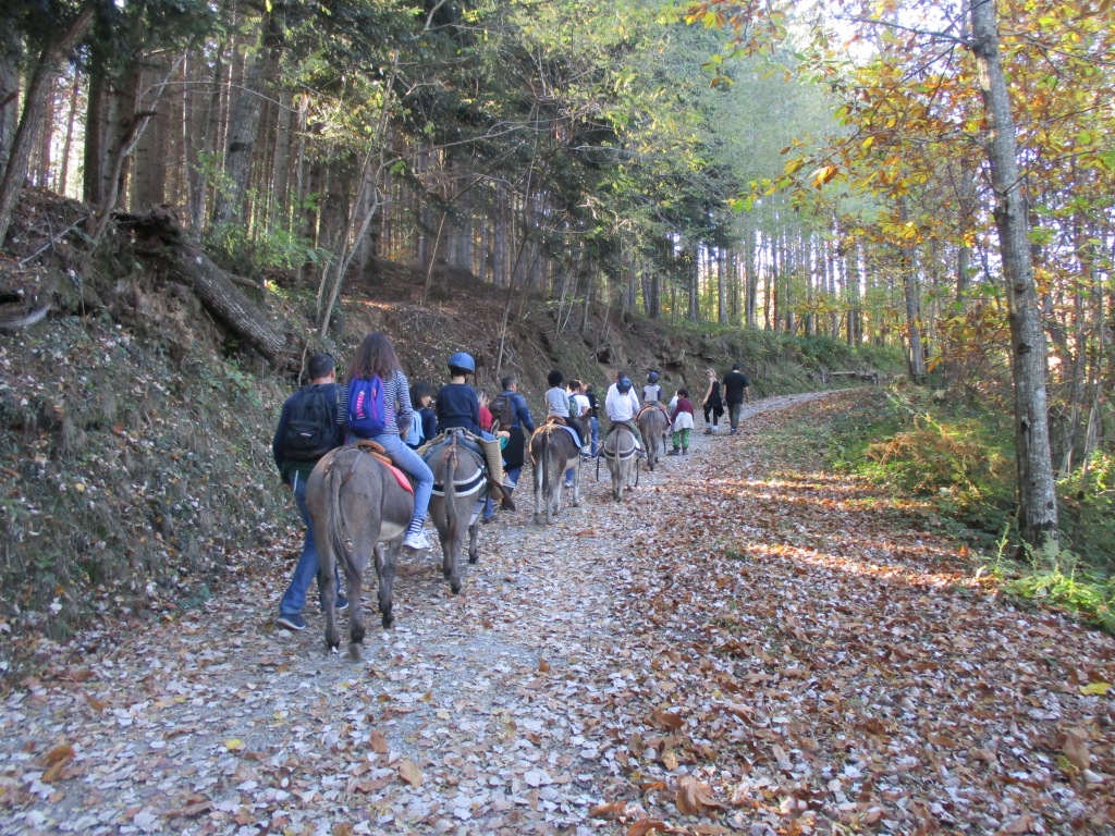 TREKKING CON GLI ASINI IN CASENTINO