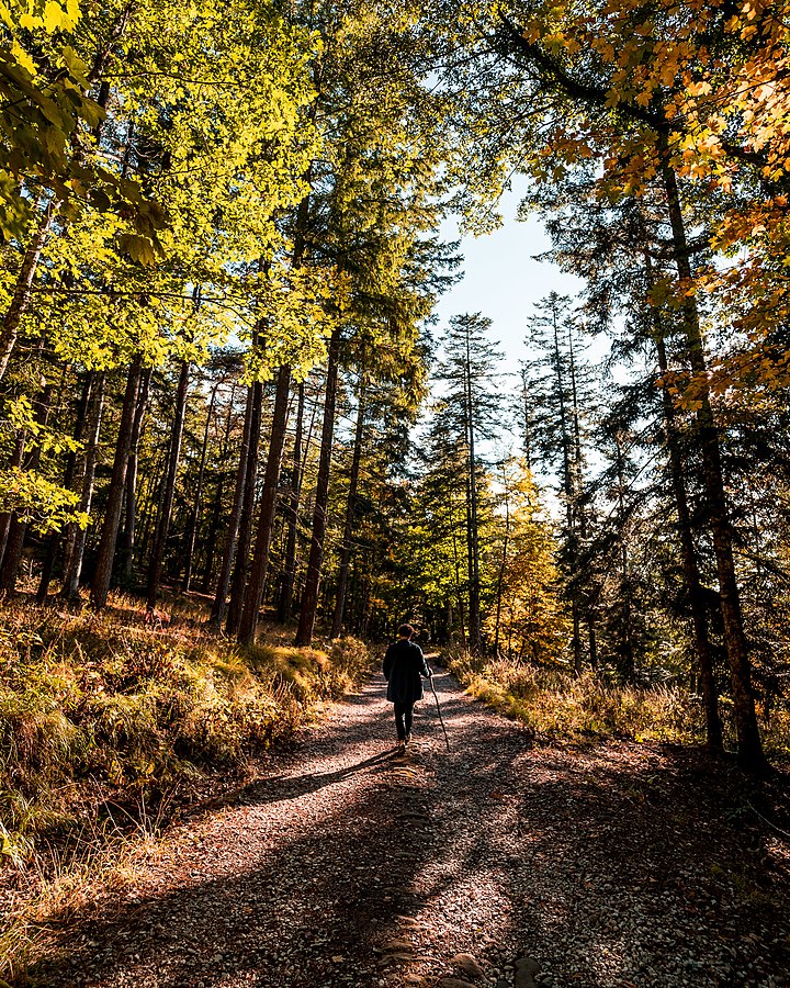 I COLORI DELL’AUTUNNO 2022