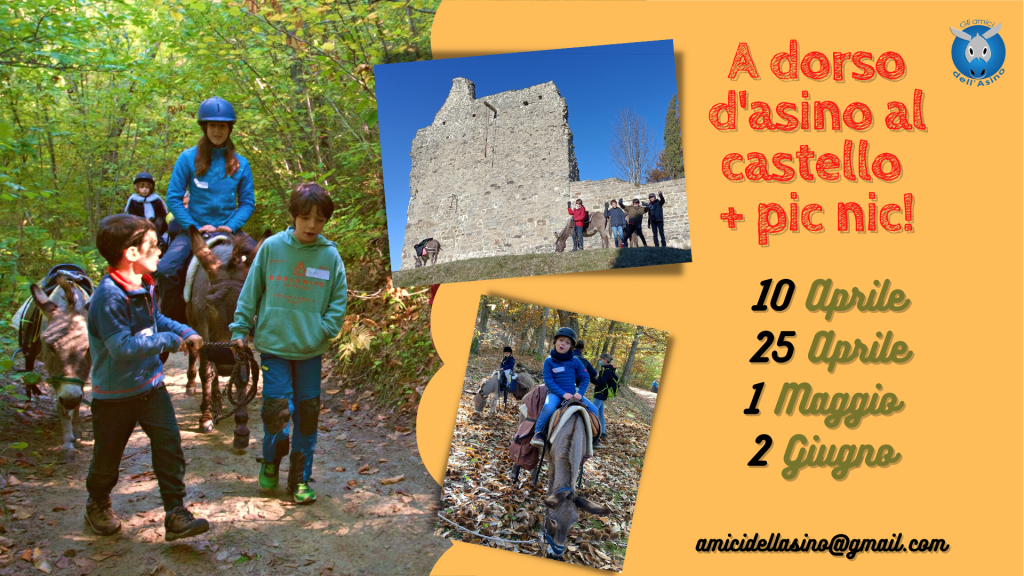 A dorso d’asino al castello + pic nic!!             Il 10 e 25 Aprile, 1 Maggio e 2 Giugno 2023